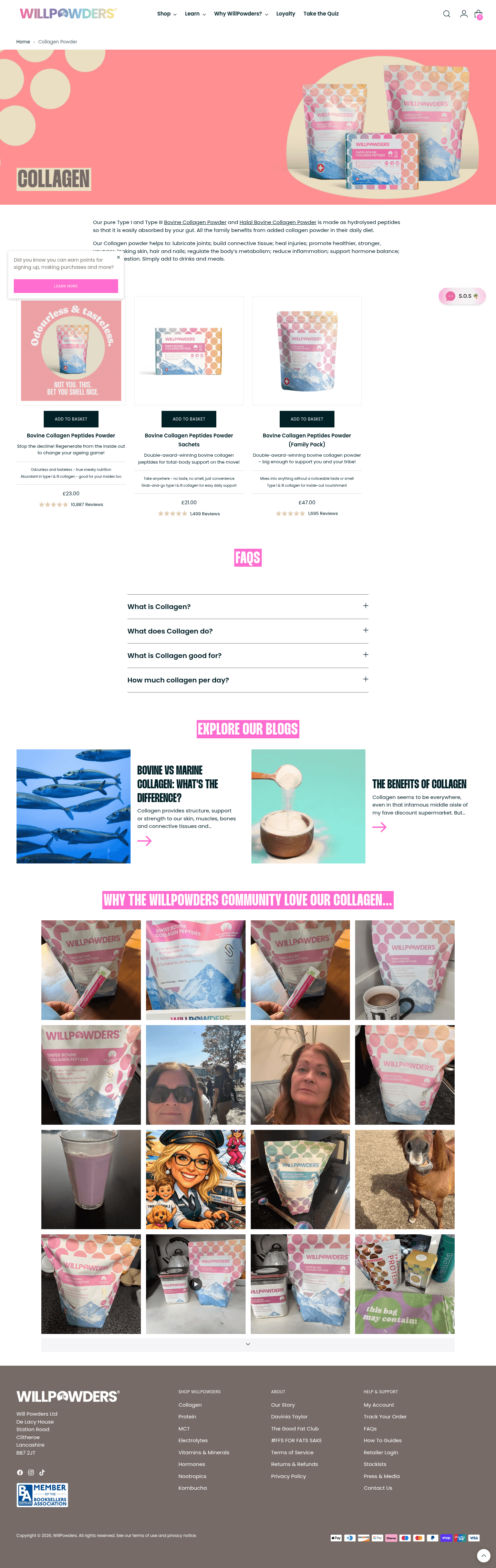WillPowders landing page