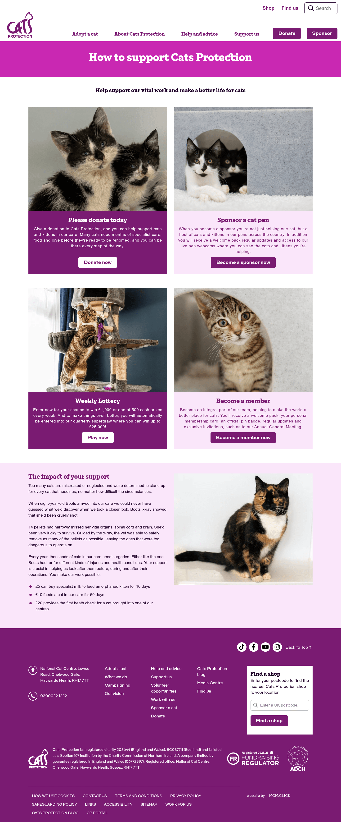 Cats Protection landing page