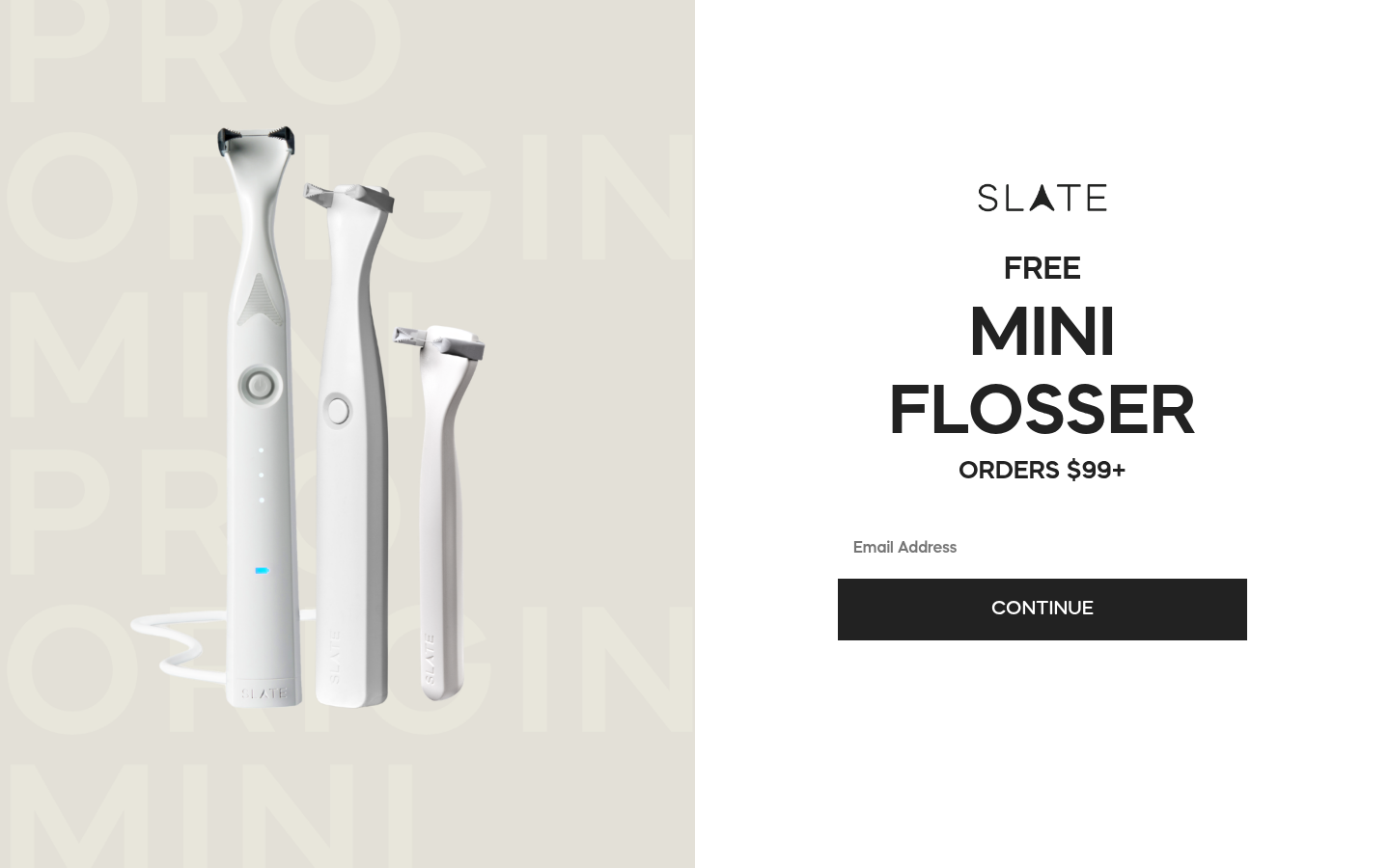 Slate Flosser landing page