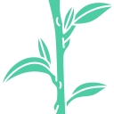 Beanstalk Consulting logo