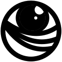Blind Sight Physiotherapy logo