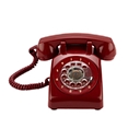 Bloom Theory Marketing logo