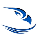 Blue Eagle Credit Union logo