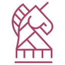 Brand Strategies Group logo