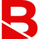 Budlong logo