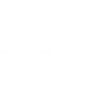 Bush Auto Group logo