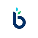 BusinessLoans.com logo