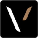 Capital V Strategies logo