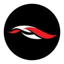 CIRCUIT OF THE AMERICAS LLC logo