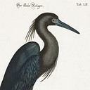 Coastal Expeditions logo