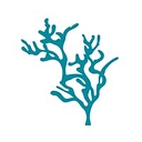 Coral Shores Behavioral Health logo
