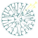 Dandelion Health Inc logo