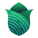 DDM Group logo
