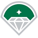 Diamond Baseball Holdings logo