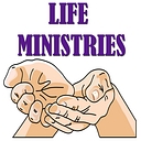 Diocese of Saint Petersburg logo