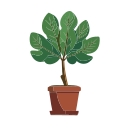 Fiddle Leaf Marketing logo