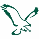 First National Bank of America logo