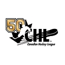 Flint Firebirds logo