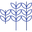 Gesa Credit Union logo