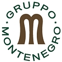 Gruppo Montenegro logo