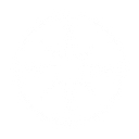 Helm AI logo
