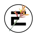 Illuminate Church logo