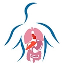 Internal Medicine MD, LLC logo
