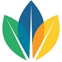 Lake Williamson Christian Center logo