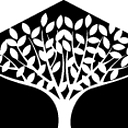 Lakeshore Management logo