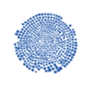 Lavior Pharma Inc logo