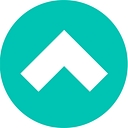 Leadership Strategies logo