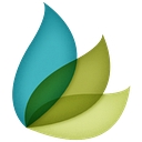 Legacy Tree Genealogists logo