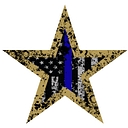 LifeCampUSA logo