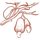 Maxwell Foods logo