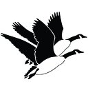 McFarland Villa Assisted Living logo