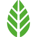 Moya Matcha logo