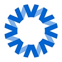 National Vision logo