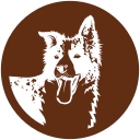 Natural Farm logo