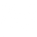 Nest Marketing logo