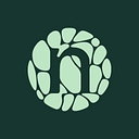 Novonesis logo