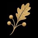 Oak & Algorithm logo