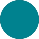 Ocean Census logo