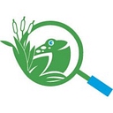 ODC Network logo