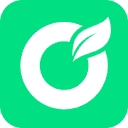 Orchard.IO logo