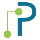 Palmetto Technology Group (PTG) logo