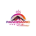 Panoramic Pro Painting logo