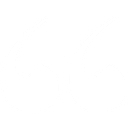 Parametrix, Inc. logo