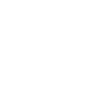 Peerstar LLC logo