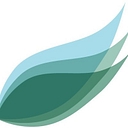 Plaid Swan Inc. logo