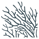 PlantSea Ltd logo